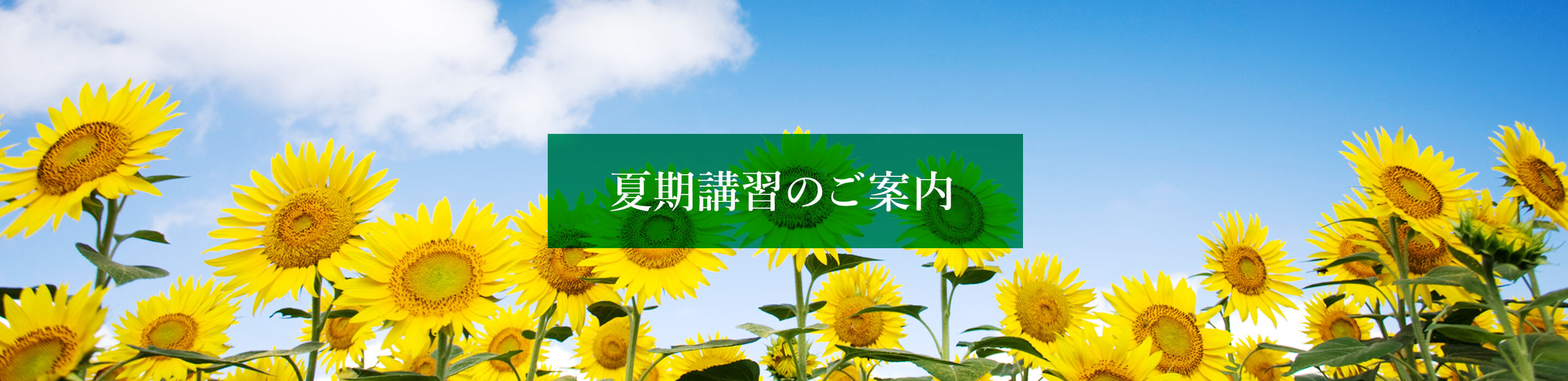 授業のご案内 夏期講習